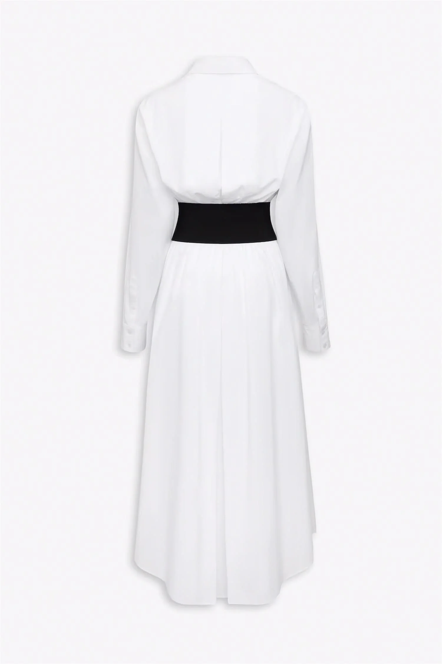 Belted Shirt Dress in Cotton Poplin - Image 2