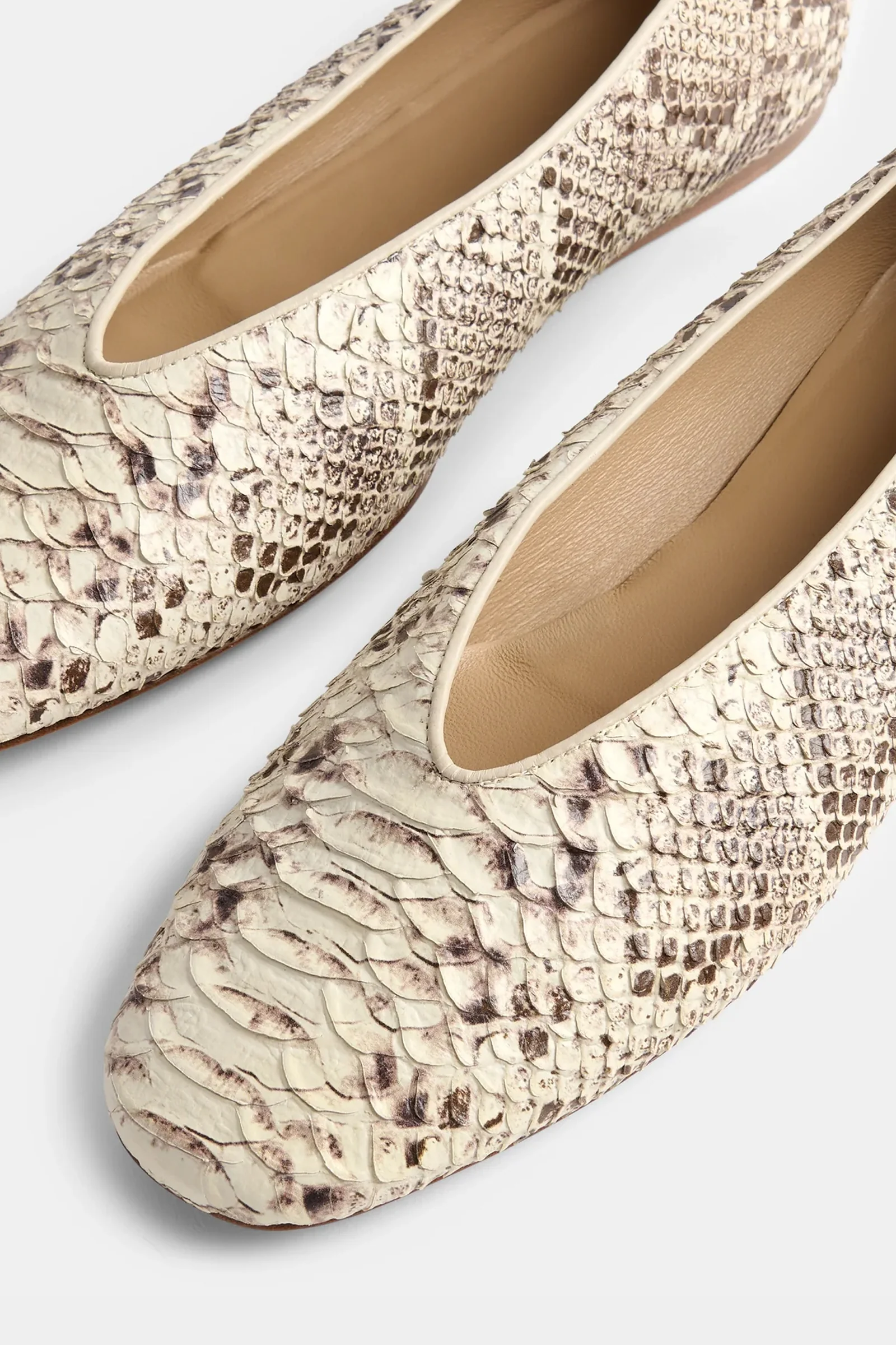 Classic Regency - Image 4